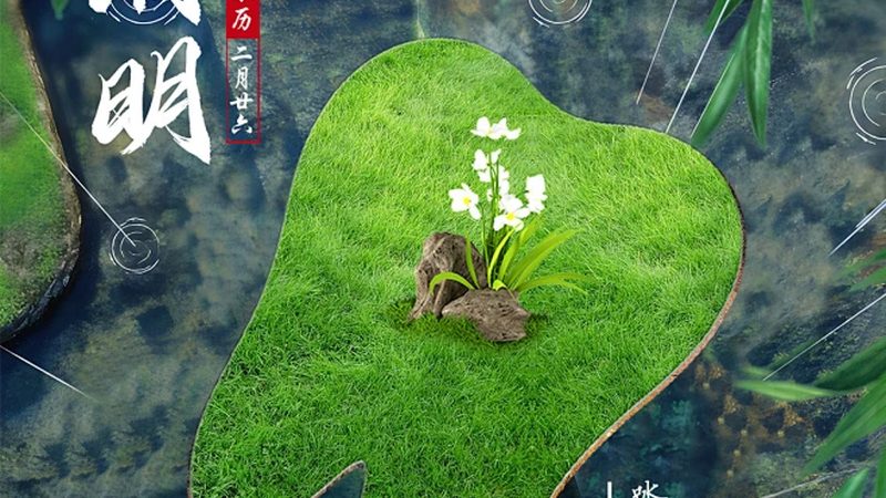 牙齿美白，如何保持持久光彩？**
